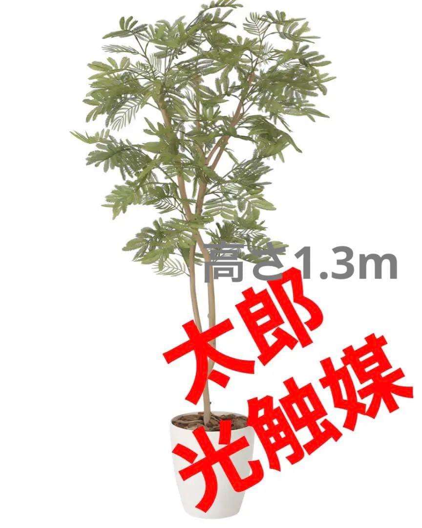 光触媒 人工観葉植物 ウォールグリーン フェイクグリーン ねむの木1.3
