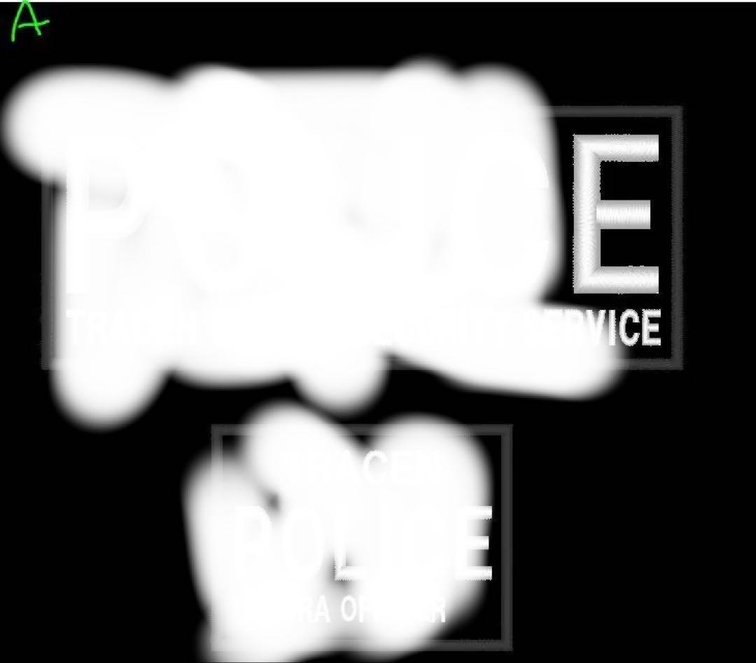 オリジナルベルクロタイプ各一枚