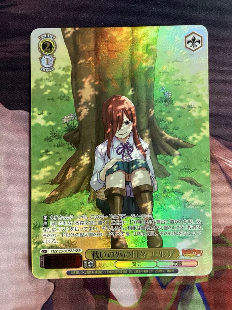 WS 戦いの外の日々 エルザ SSP