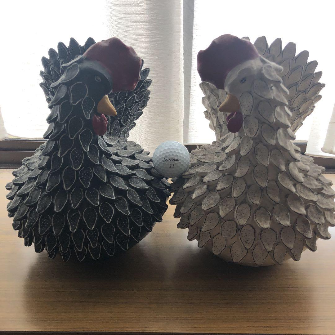 幸運を運ぶ夫婦鳥