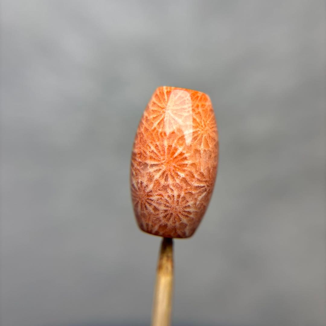 たまきフォッシルコーラル　天珠　1-330