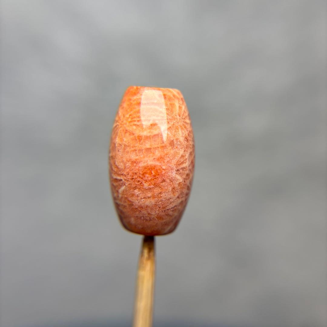 たまきフォッシルコーラル　天珠　1-330