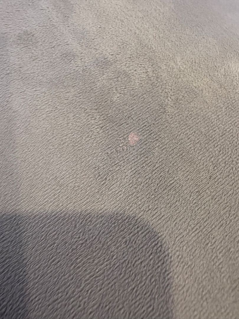 グレー ベルベット ソファ　ロウヤ　lowya 美奈子