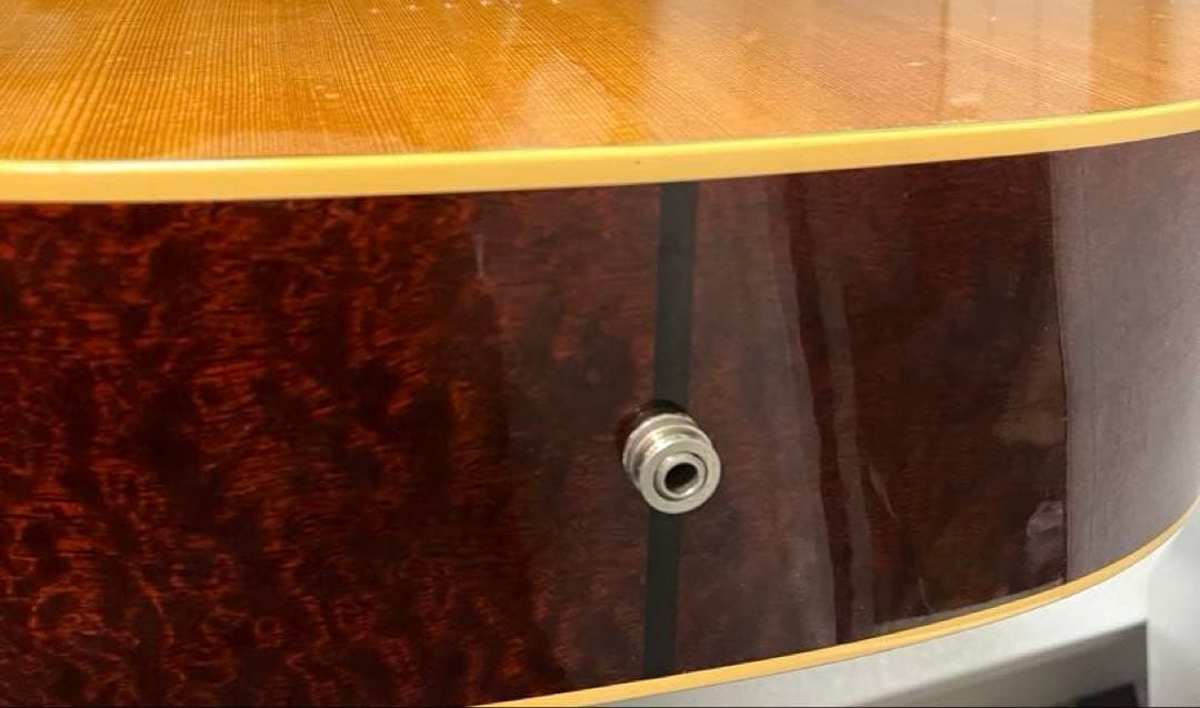 Taylor XXV-PR プレミアム25周年記念 エレアコ 世界限定500本 - メルカリ