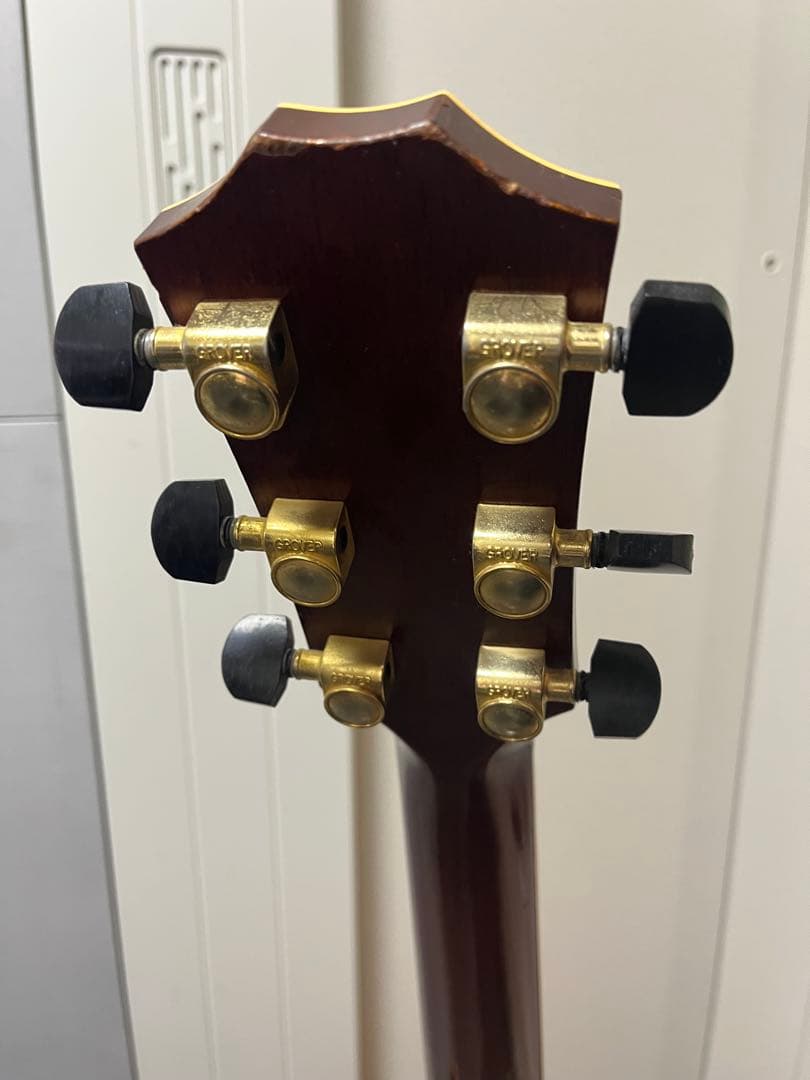 Taylor XXV-PR プレミアム25周年記念 エレアコ 世界限定500本 - メルカリ