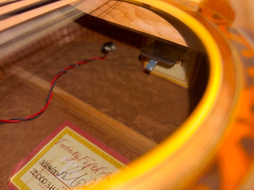 Taylor XXV-PR プレミアム25周年記念 エレアコ 世界限定500本 - メルカリ