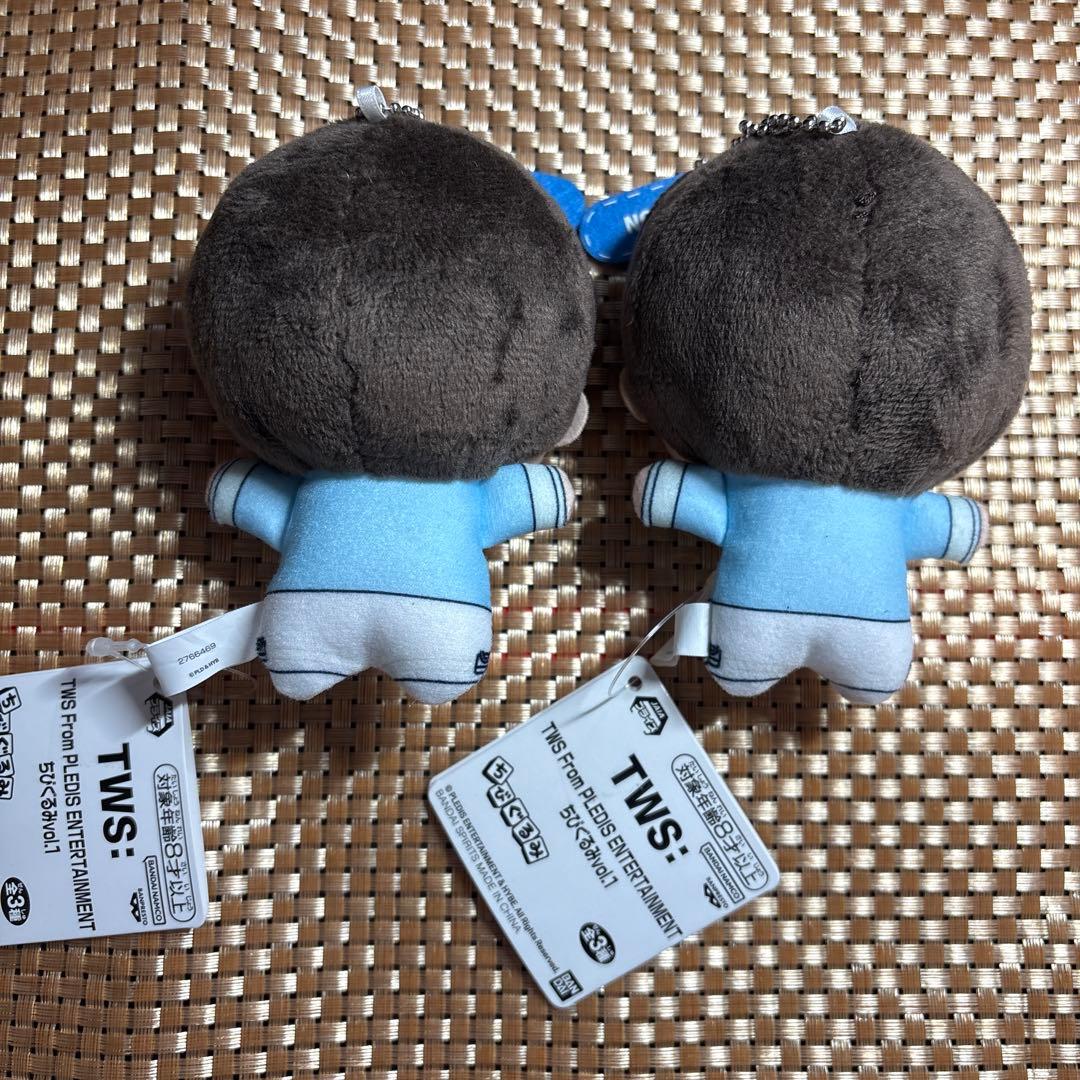 TWS トゥアス ちびぐるみ JIHOON ジフン - メルカリ