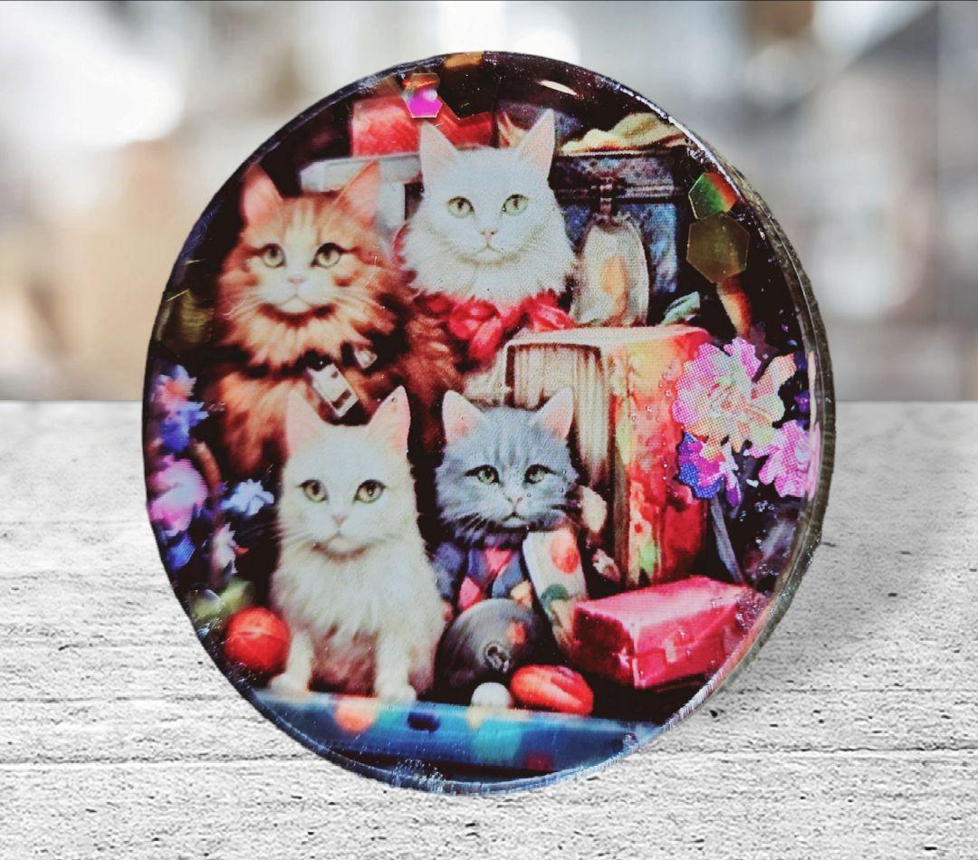 1点のみ❤NO.780❤猫❤レジンへアゴム ブローチ