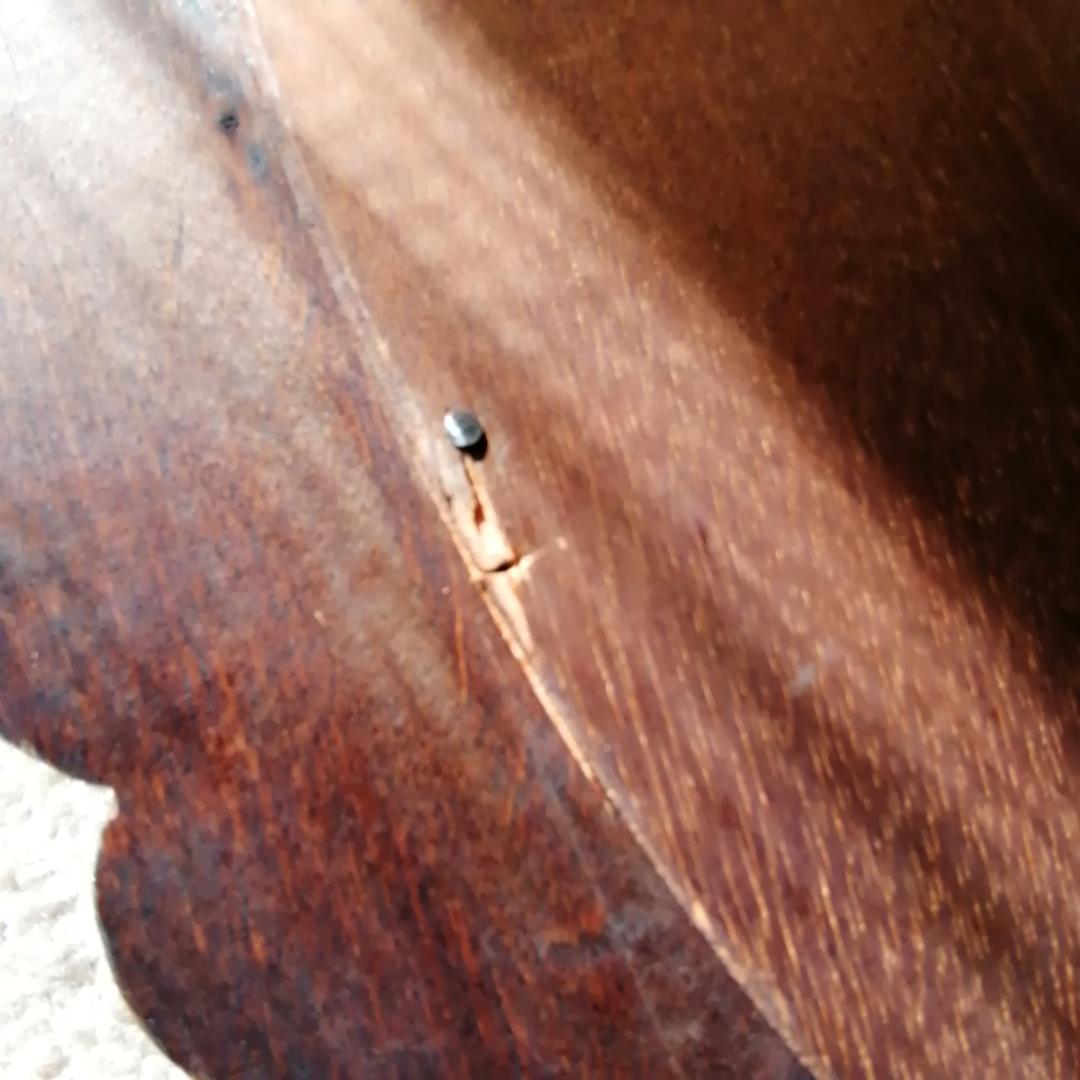 壁掛けミラー　面取り加工　木製枠　浮き彫り　アンティーク彫刻　アラベスク　楕円