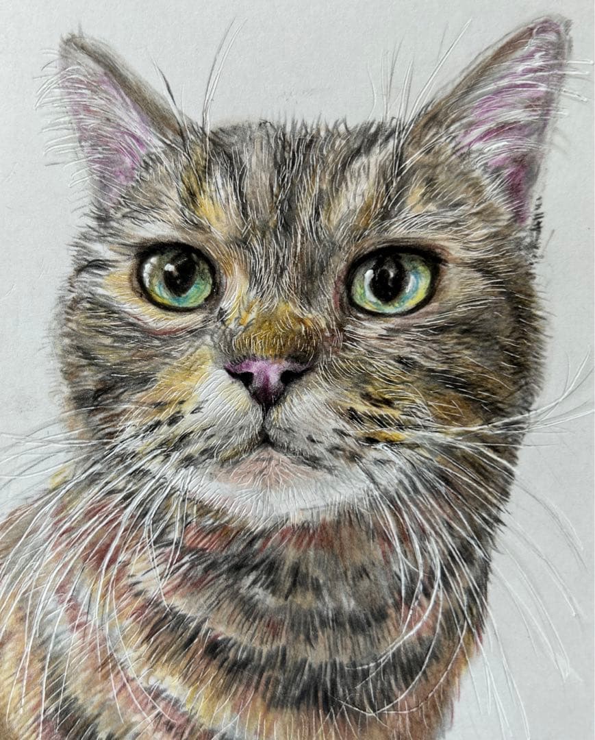 猫 絵画 子猫 イラスト 水彩色鉛筆 油彩色鉛筆 原画 キジトラ猫ちゃん
