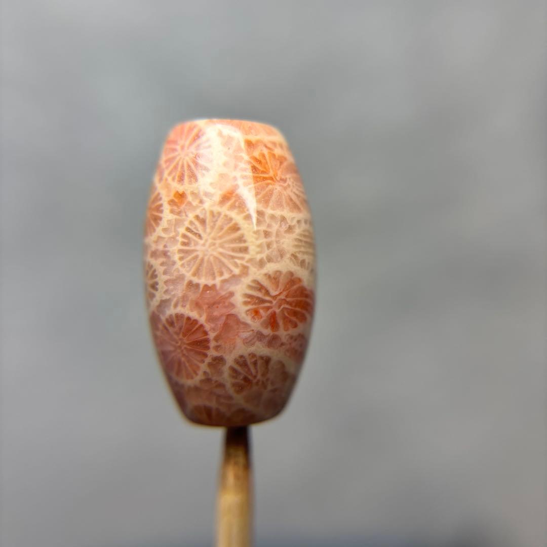 あずきちゃんフォッシルコーラル　天珠　1-326