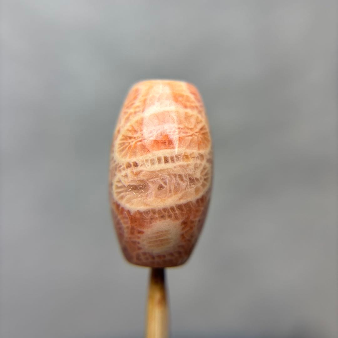 あずきちゃんフォッシルコーラル　天珠　1-326