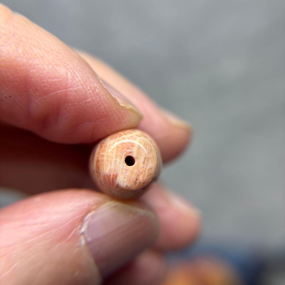 あずきちゃんフォッシルコーラル　天珠　1-326