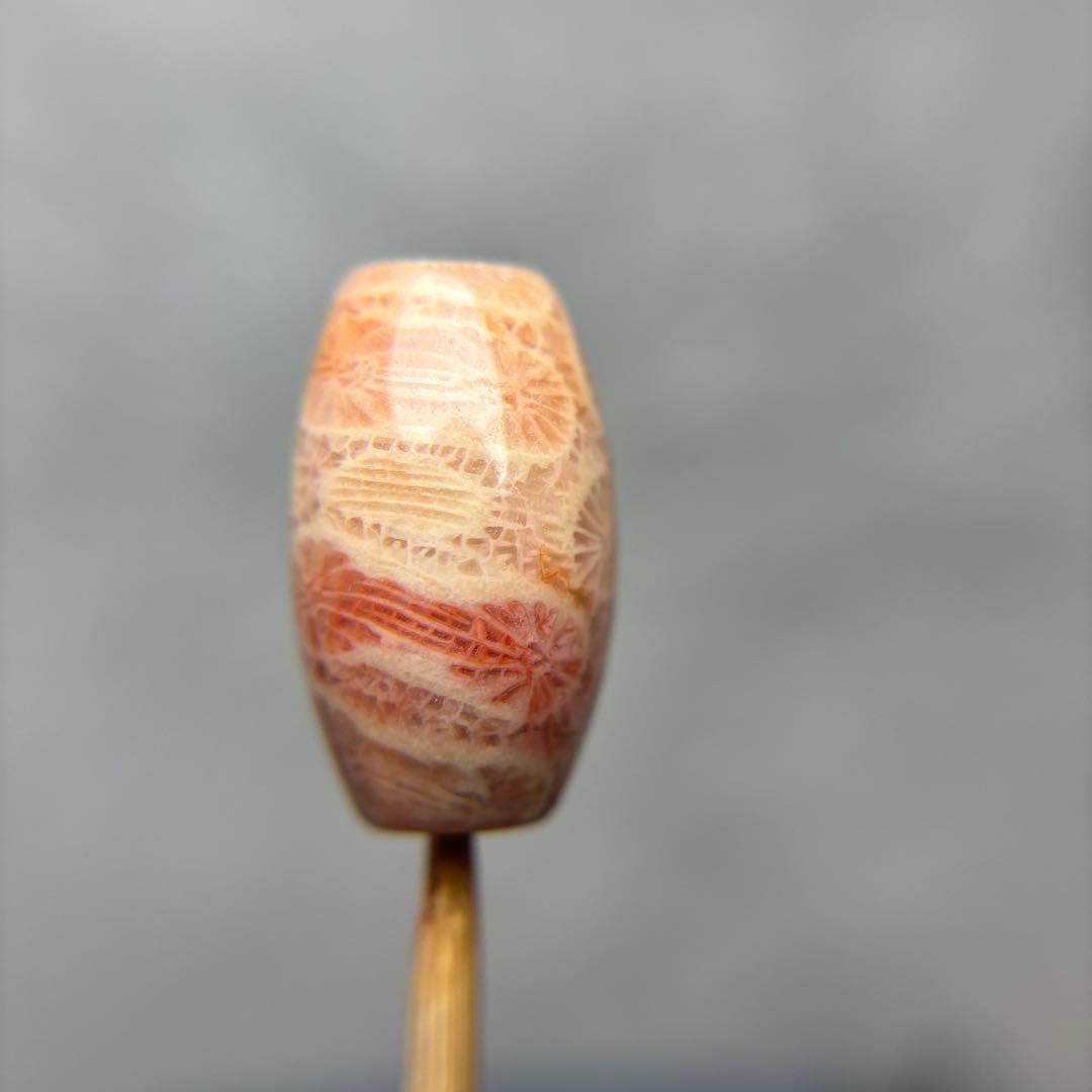 あずきちゃんフォッシルコーラル　天珠　1-326