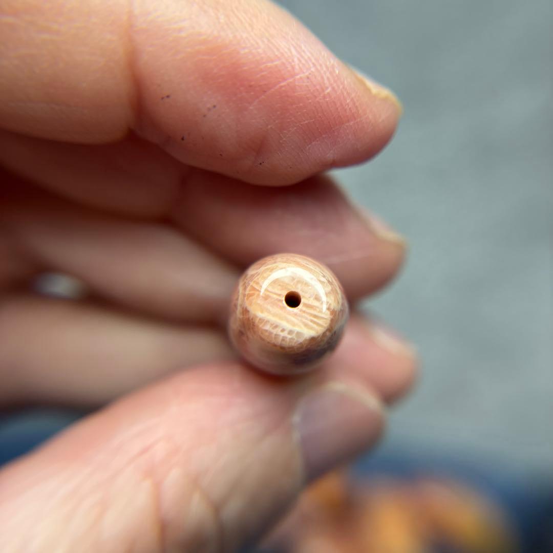 あずきちゃんフォッシルコーラル　天珠　1-326