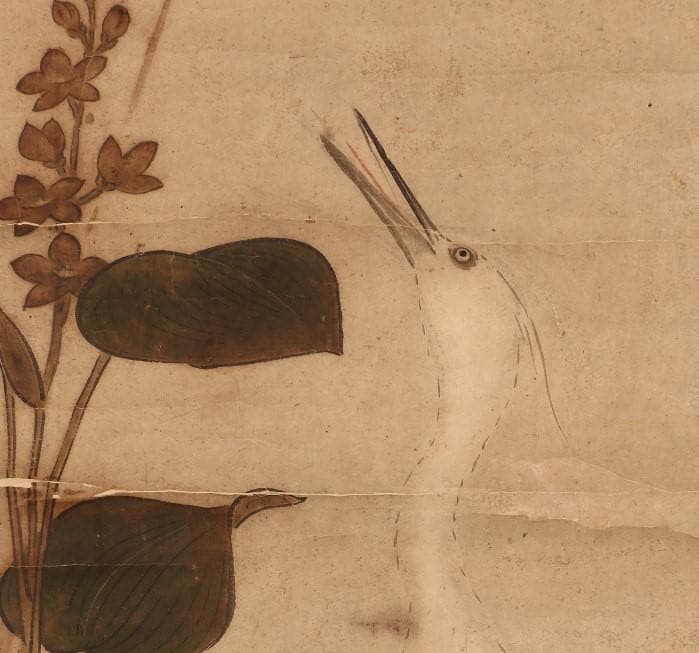 【名品】★狩野永徳 『蓮華白鷺図』 検） 狩野尚信 狩野探幽 豊臣秀吉 織田信長