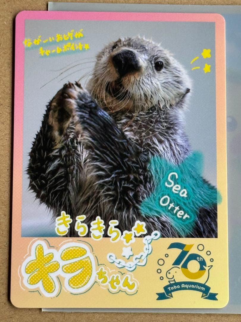 鳥羽水族館 TOBA AQUARIUMコレクションカード メイちゃん キラちゃん
