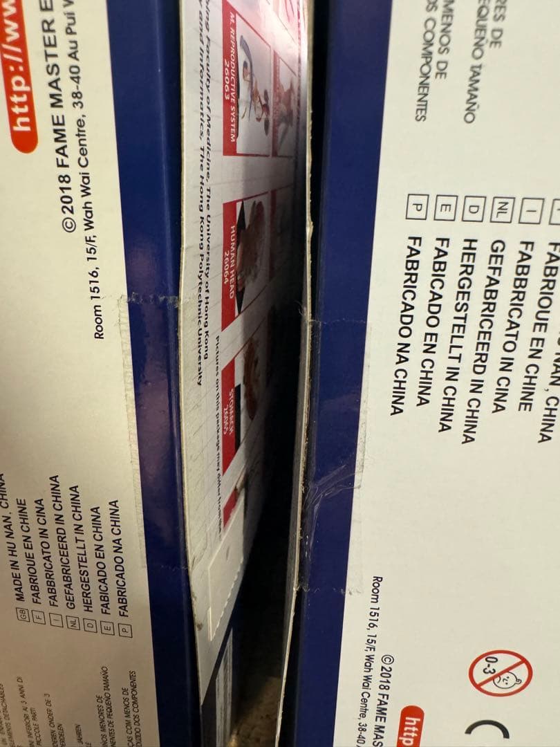 【特価】新品Supreme Female Anatomy Model人体模型