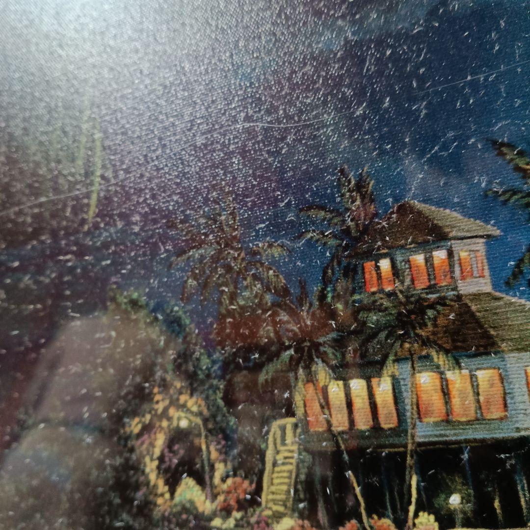 Paul Heeley 001/250 キャンバスアート フロリダ 月夜の海