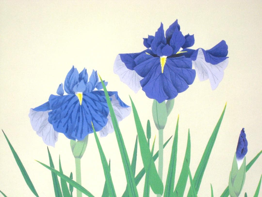 【真筆】 掛け軸 掛軸　菖蒲（しょうぶ）◆井上秀城　共箱・タトウ箱付