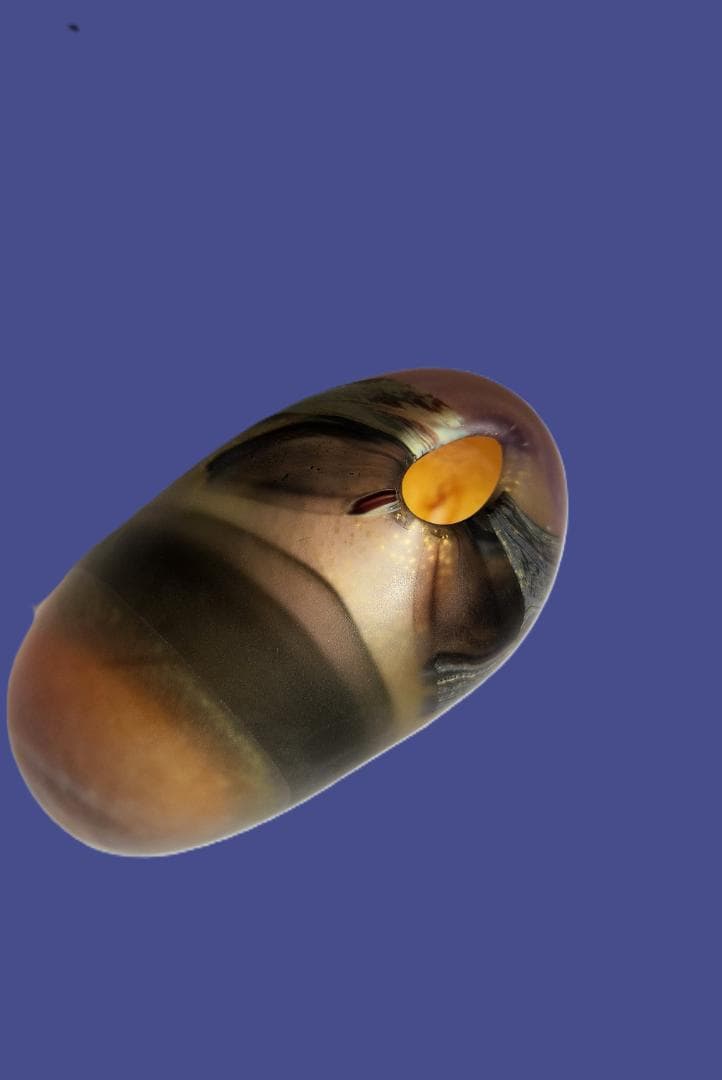 一点もの 窯変流水彩花器 共箱付 未使用 ガラス工芸 置物