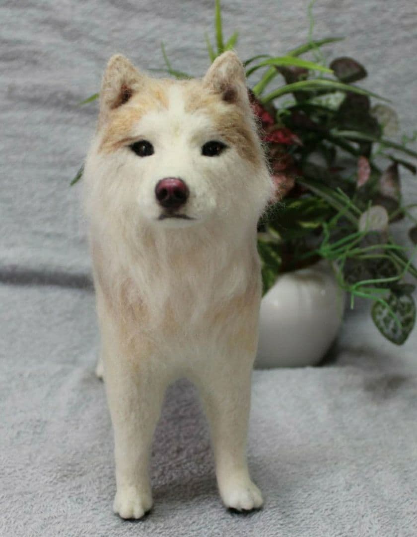 羊毛フェルト オーダー 「リアルで可愛いワンちゃん」シベリアンハスキー うちの子