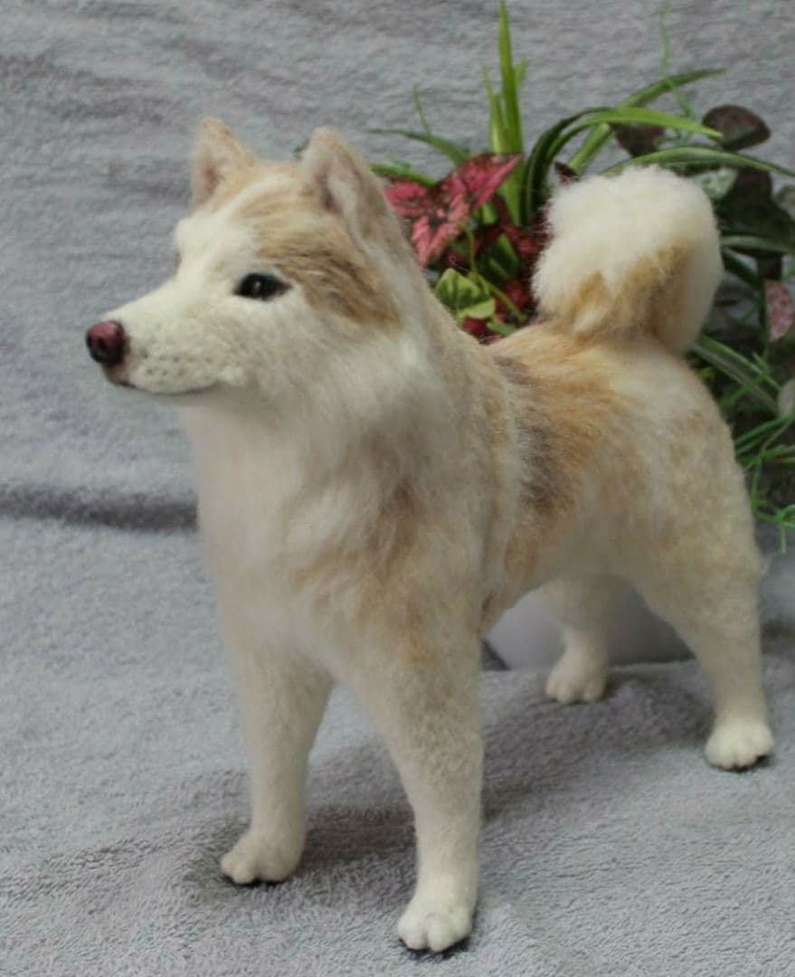 羊毛フェルト オーダー 「リアルで可愛いワンちゃん」シベリアンハスキー うちの子