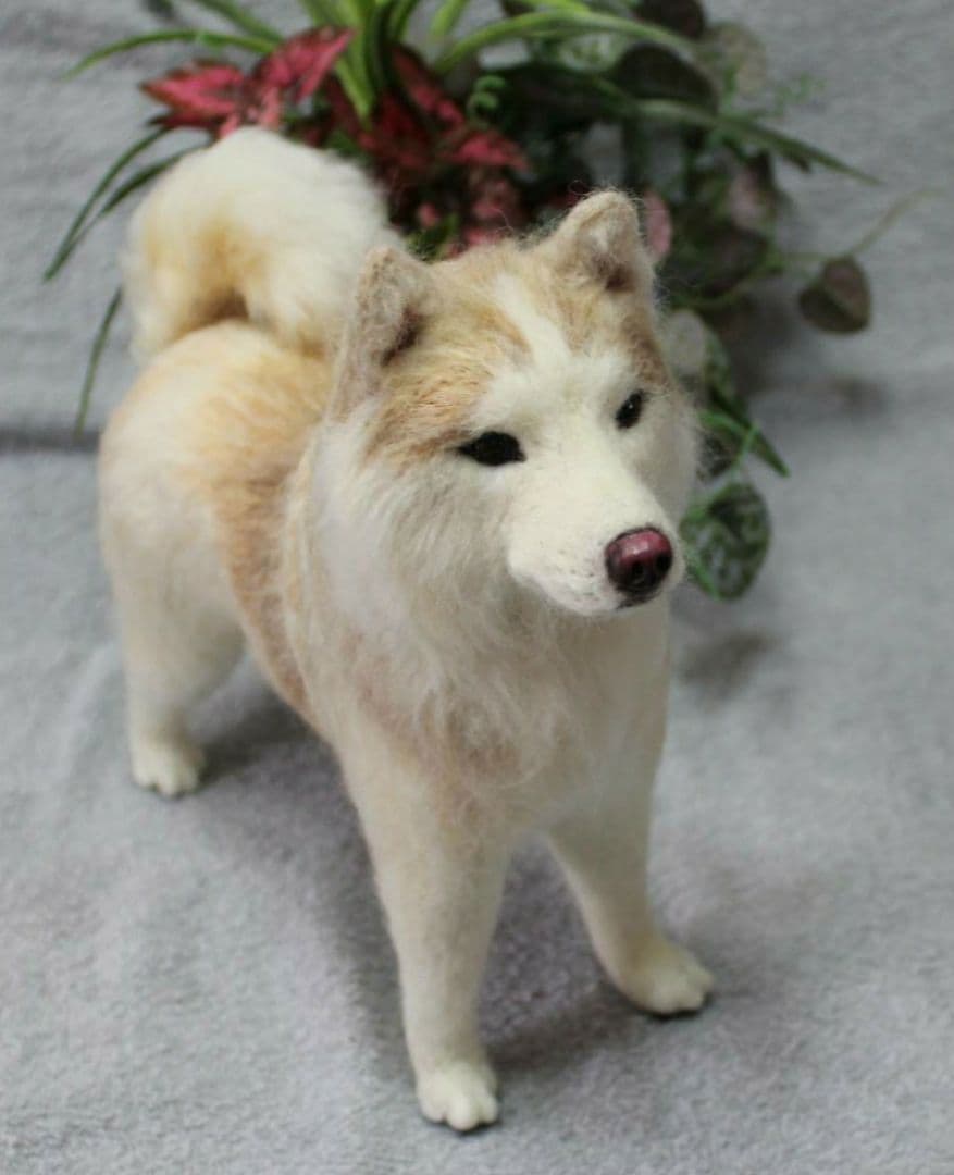 羊毛フェルト オーダー 「リアルで可愛いワンちゃん」シベリアンハスキー うちの子
