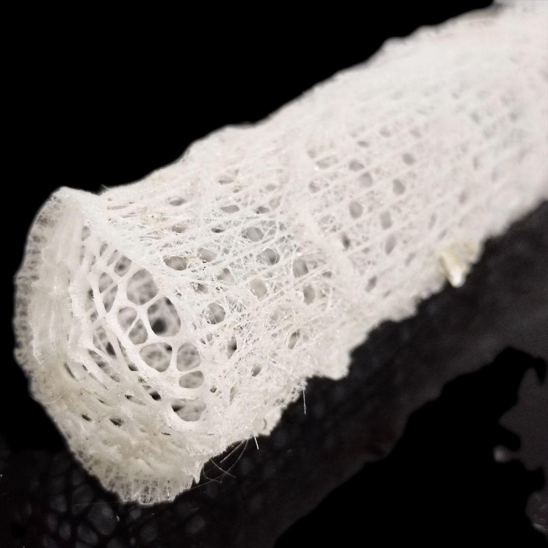 1点物】極希少☆極美品カイロウドウケツ 縁起物 深海生物 25-30cm 標本