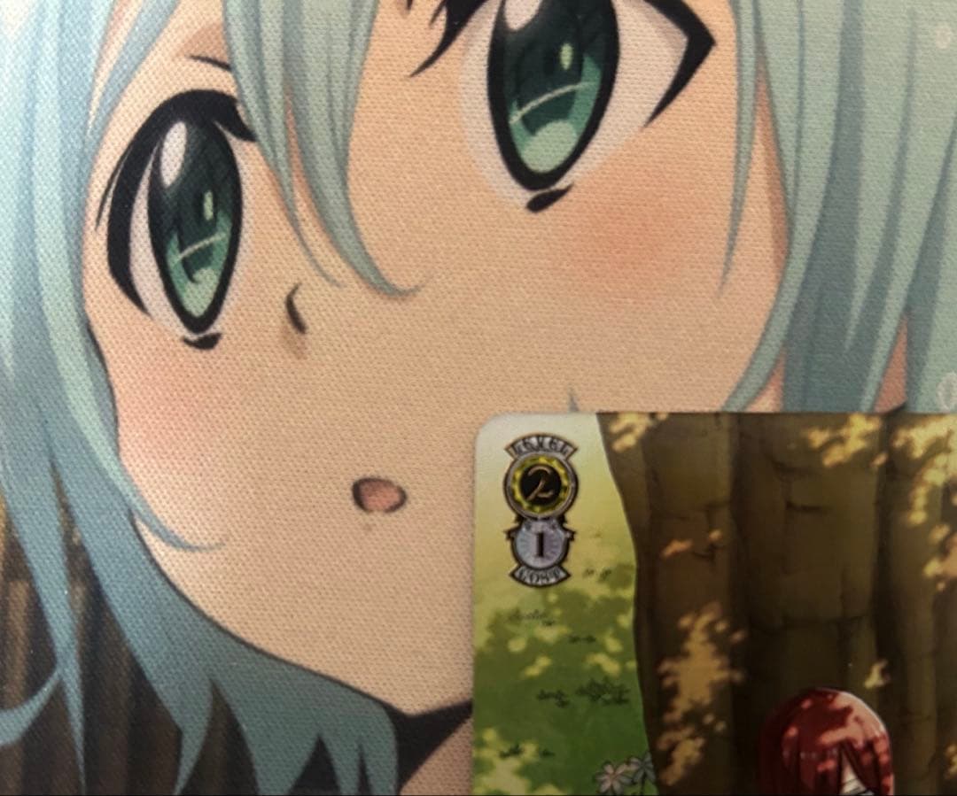 戦いの外の日々 エルザ ssp サイン フェアリーテイル ヴァイス 凪さん