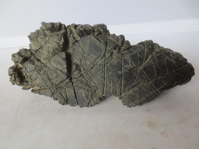 R7/05/29-1　　霊壁石　時代石　水石　盆石　遠山石　幅18センチ