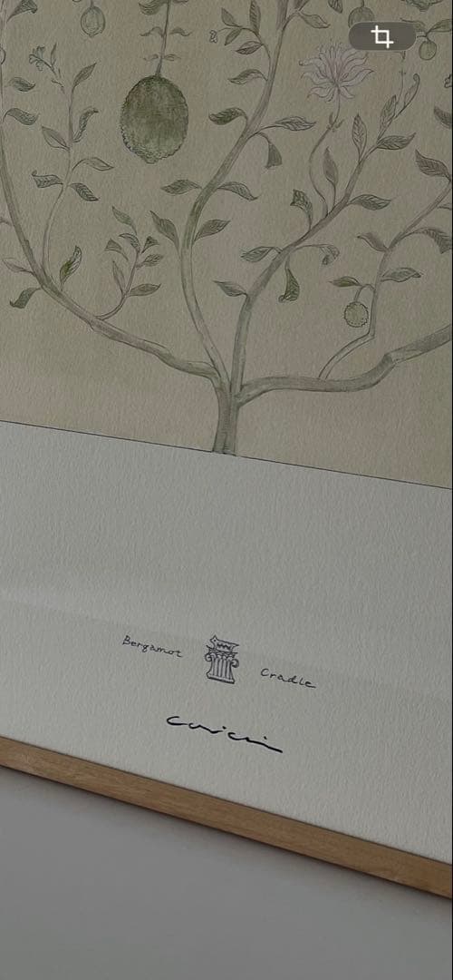 美品【coricci】コリッチ 【botanicalベルガモットの揺りかご】 - メルカリ