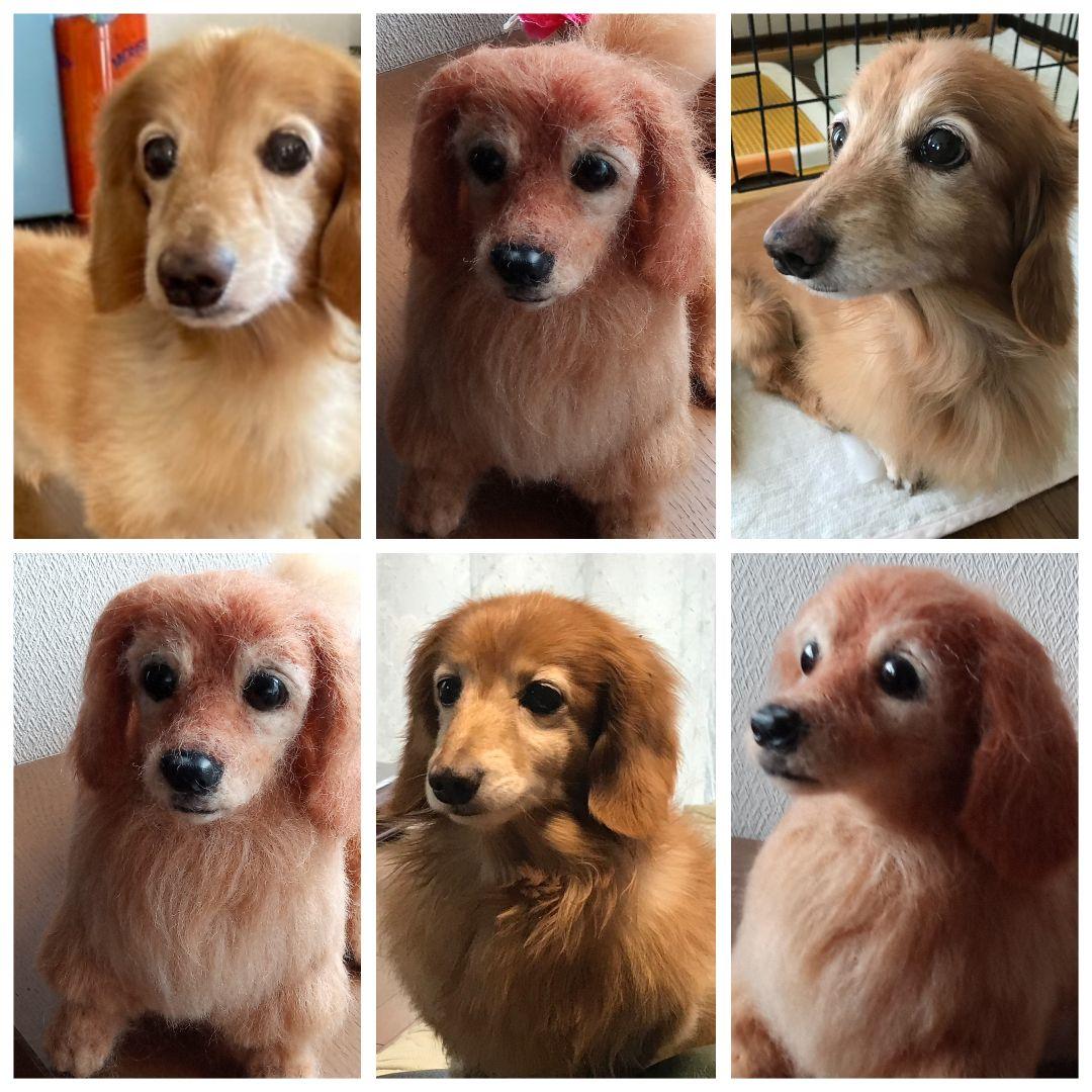 愛犬の羊毛フェルトオーダー制作・わんちゃん・メモリアル