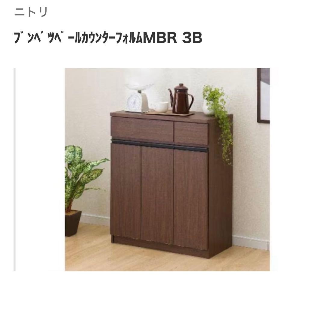 【3分別】ペールカウンター フラップ式ダストボックス ニトリ ゴミ箱