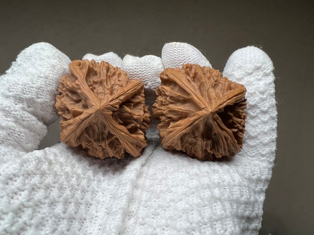 文玩堂：「百花山 正四稜くるみ」フォロワー向け7日間の特別割引