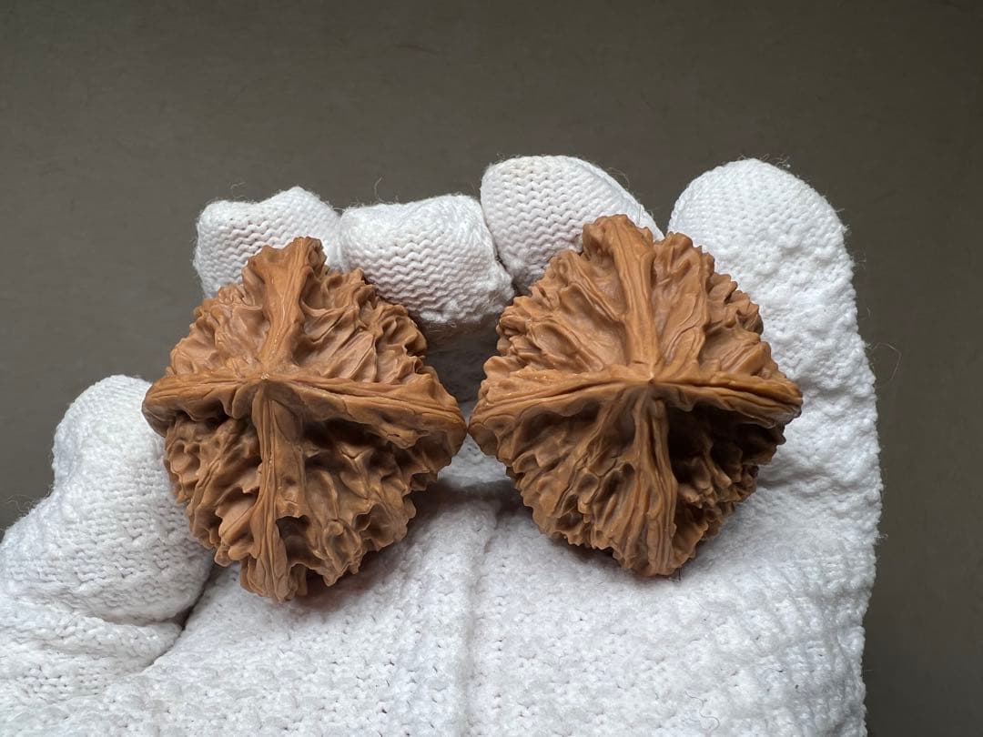 文玩堂：「百花山 正四稜くるみ」フォロワー向け7日間の特別割引