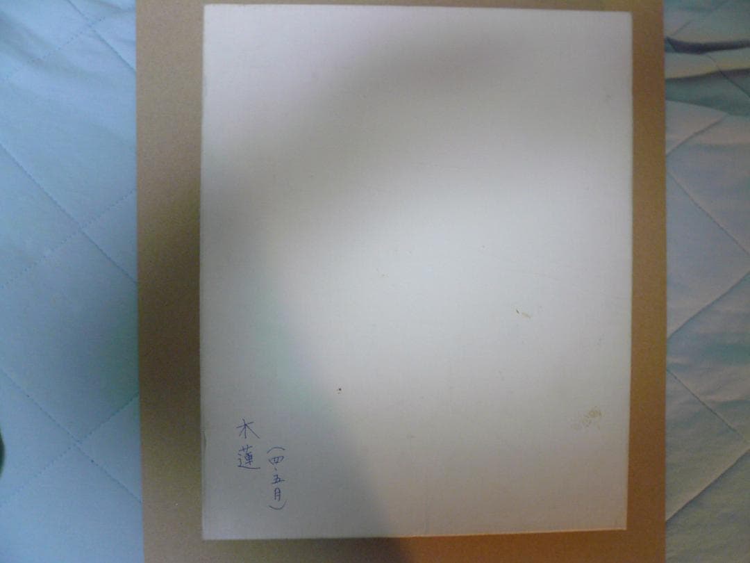 安藤七寶店　銀彩七宝　木蓮