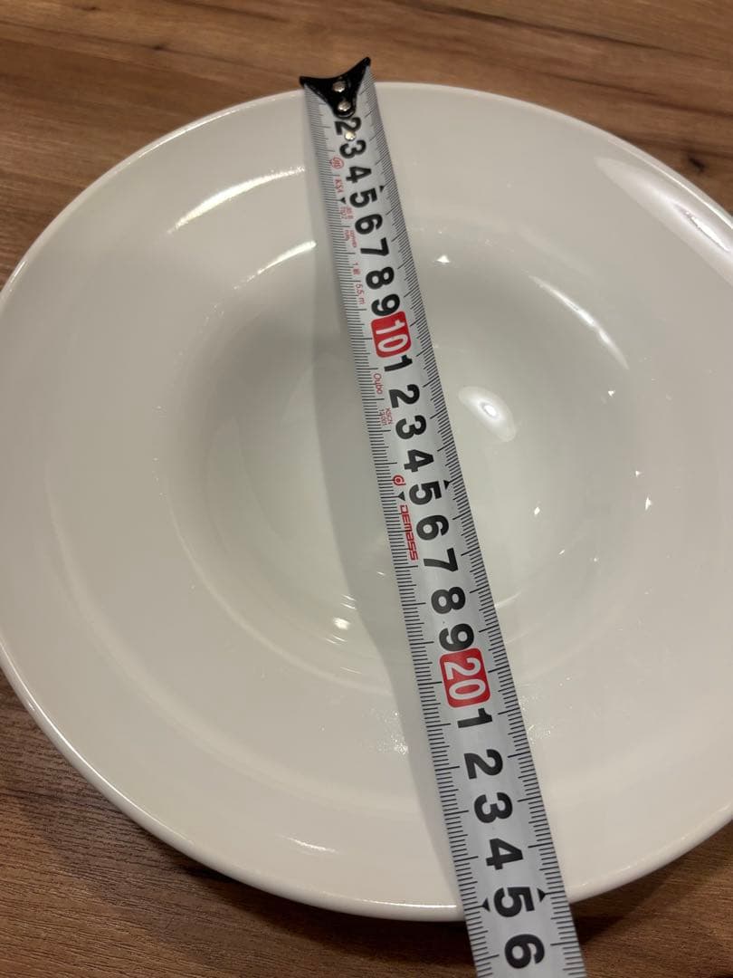 陶器製 パスタ皿 10枚セット 直径25cm 白　スープ皿　リゾット皿
