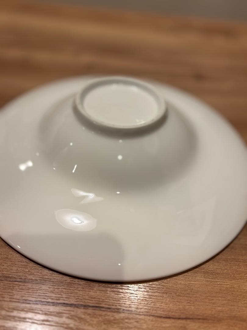 陶器製 パスタ皿 10枚セット 直径25cm 白　スープ皿　リゾット皿