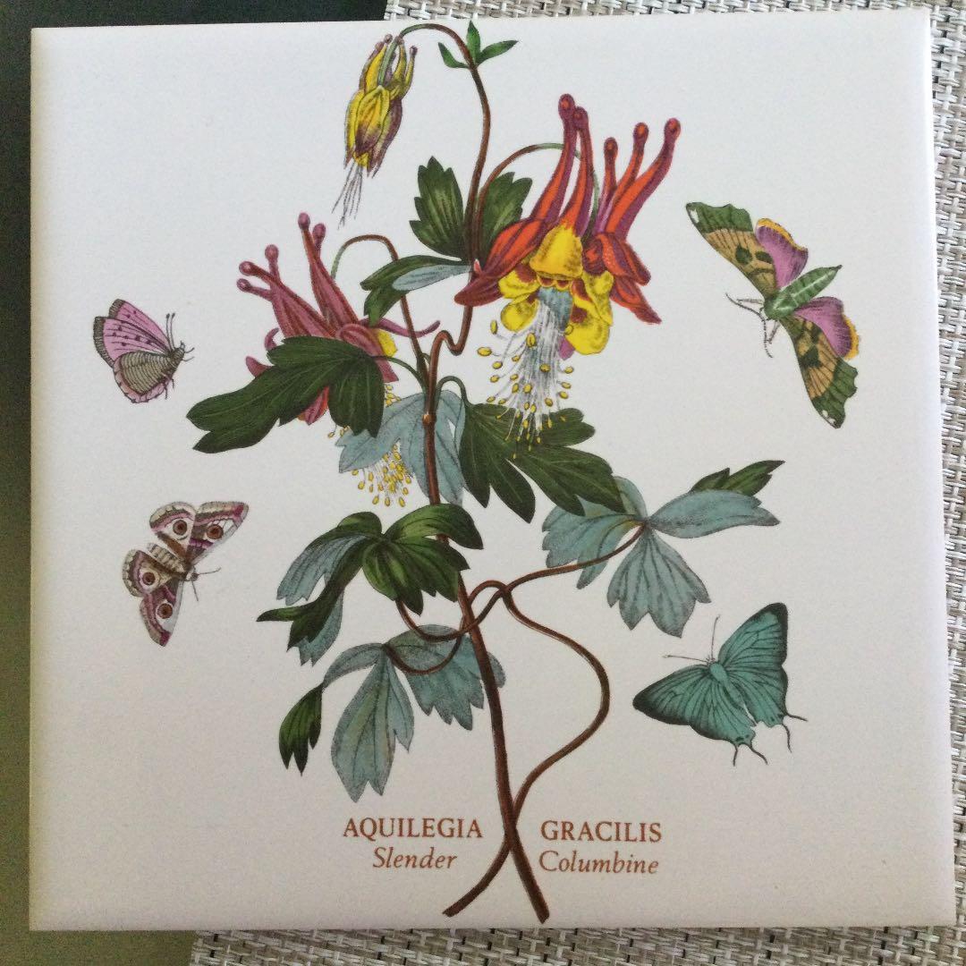 レアイギリス ポートメリオン タイル 二枚