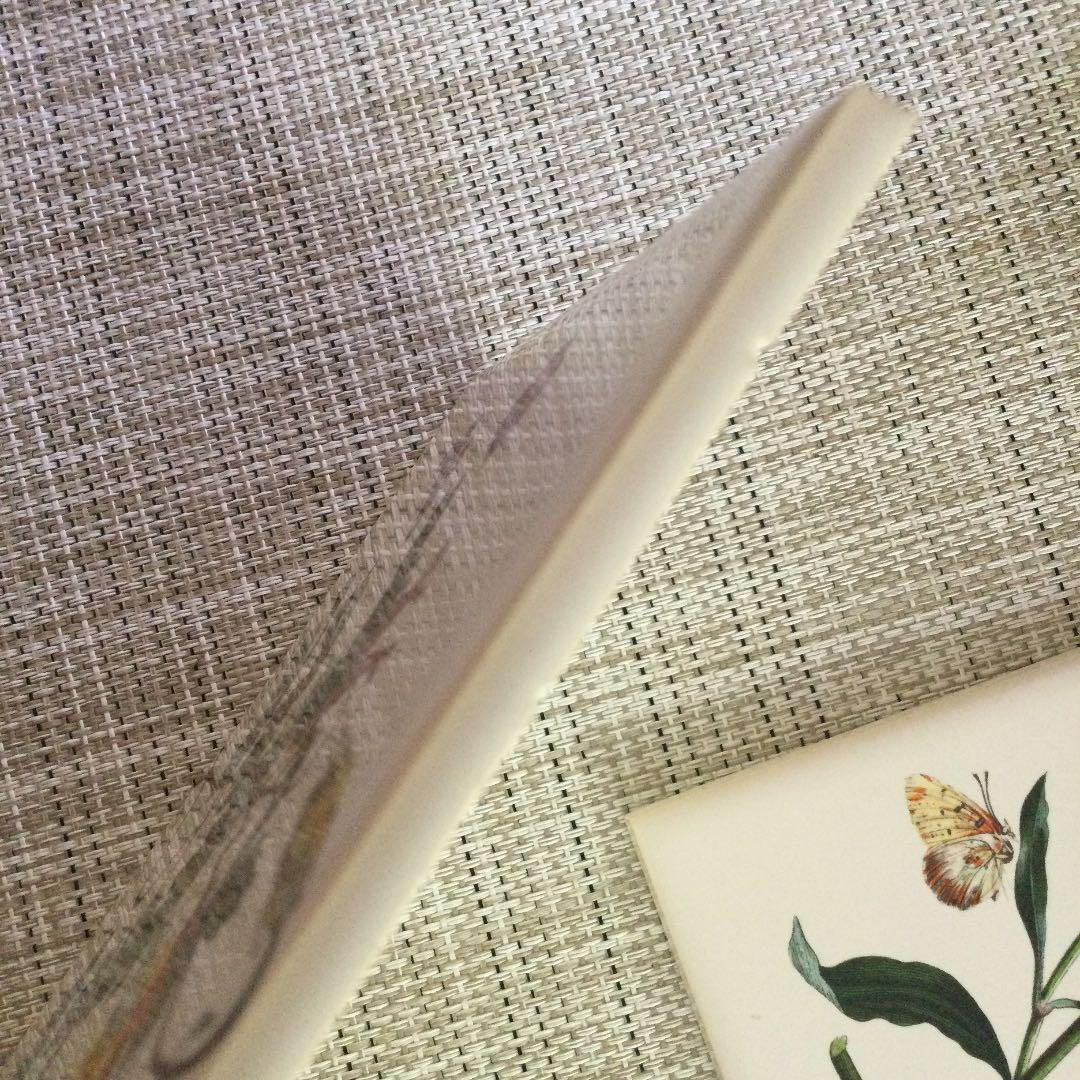 レアイギリス ポートメリオン タイル 二枚