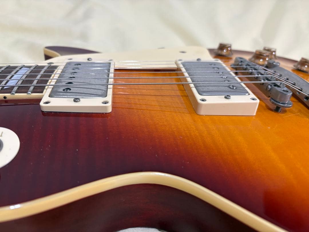 Fernandes burny RLG-90 VH-1 hardcase - メルカリ