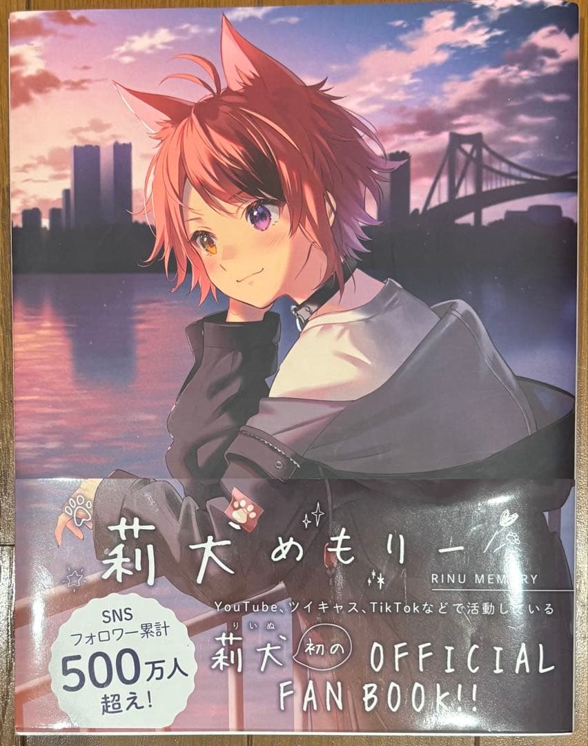 すとぷり（莉犬多め）まとめ売り