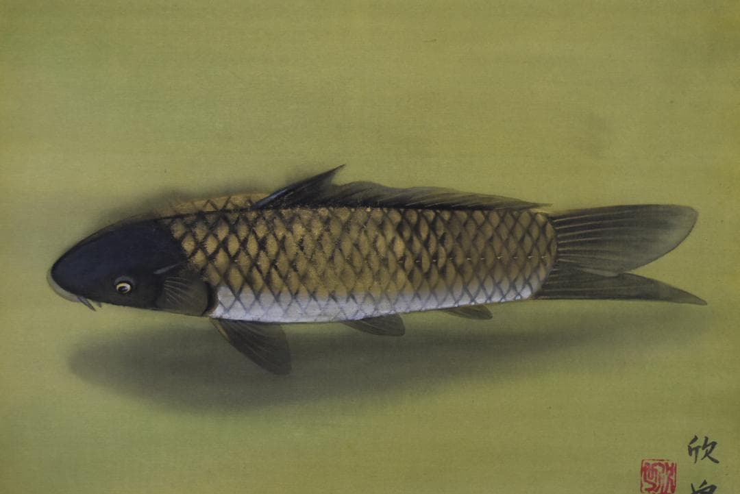 蔵重欣也/鯉図/横物/掛軸☆宝船☆Z-723