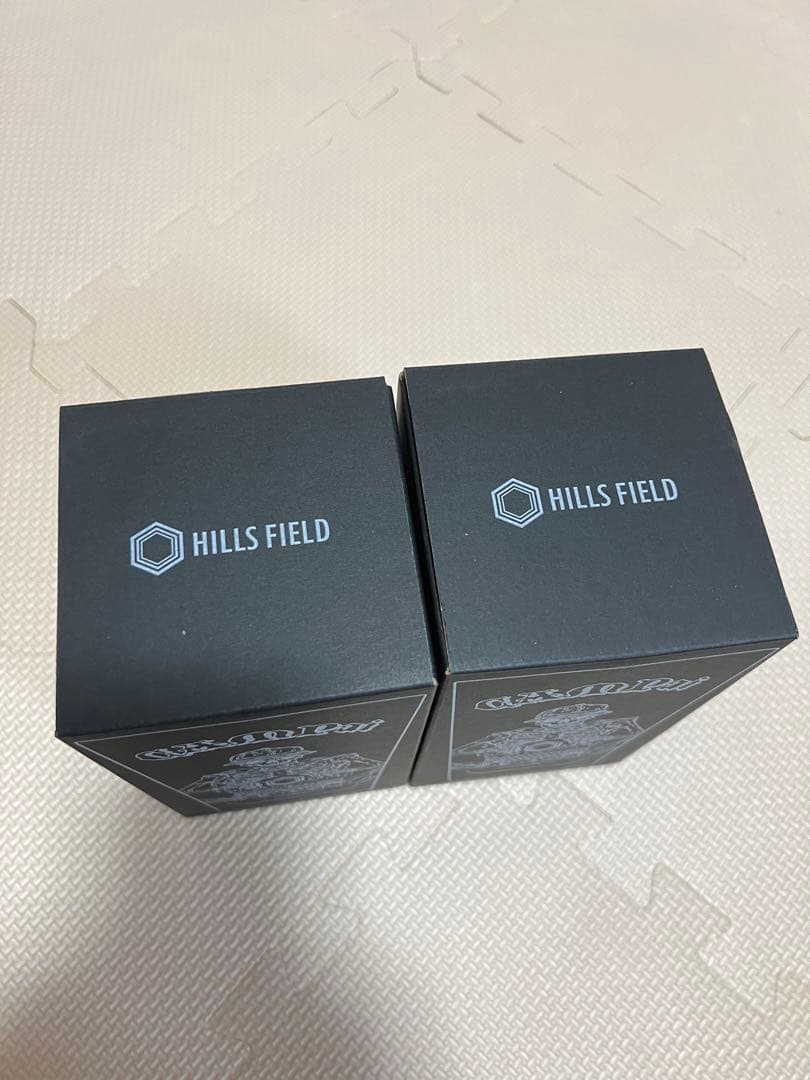 2個セットーオリジナルパイントグラス　-キャンプぁい- 480ml