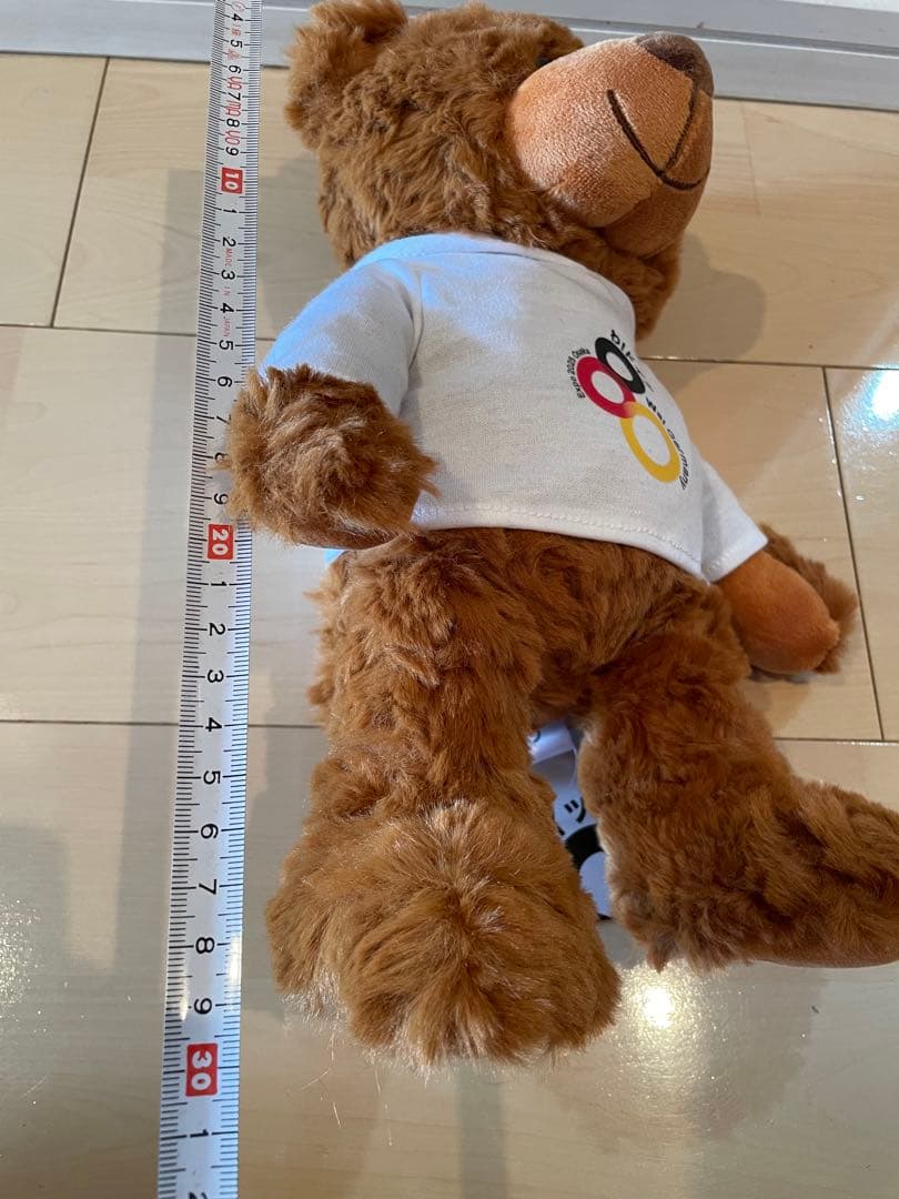 紙袋付き 大阪関西万博 EXPO2025 万博ドイツ館 テディベア ぬいぐるみ