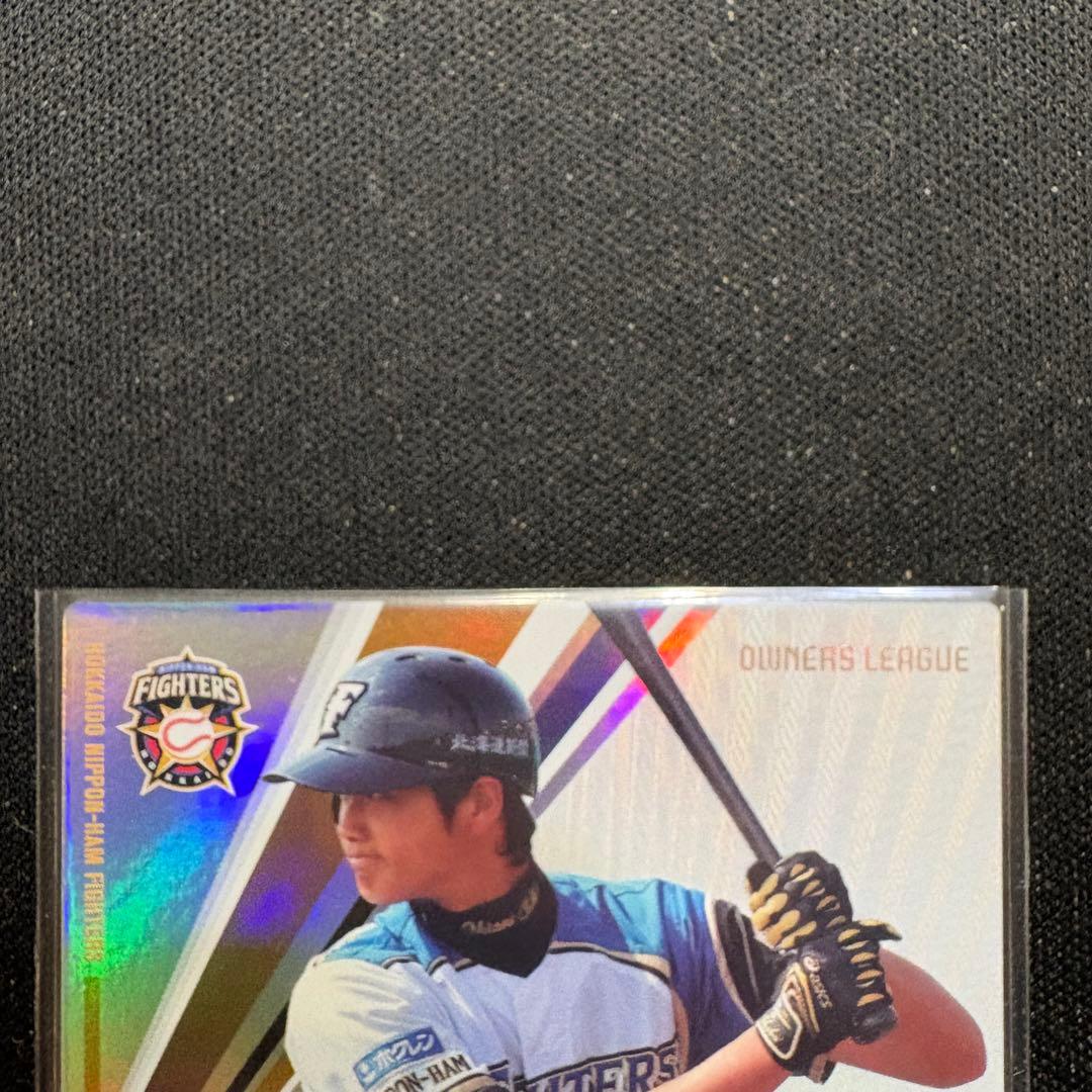 オーナーズリーグ 大谷翔平2013 Infinity