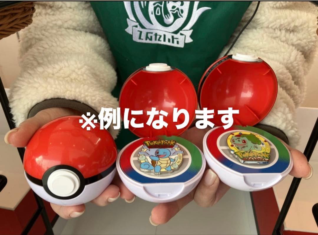 ポケパーク ピンバッジ 未開封10個 プレミアボール付き - メルカリ