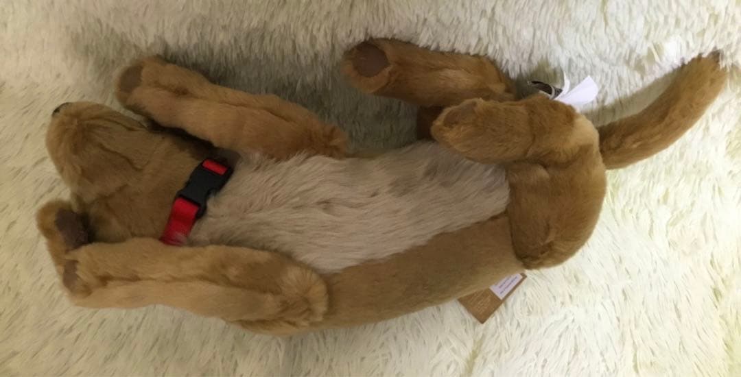 ☆希少 新品 DITZ ディッツ ハルモニア ぬいぐるみ ゴールデン