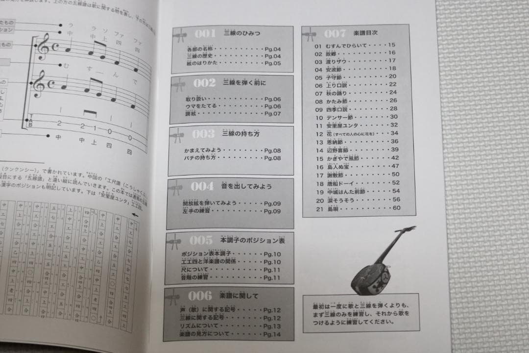 沖縄　エレキ三線（人工皮張り）初心者にもおすすめの初心者セット　新品未使用
